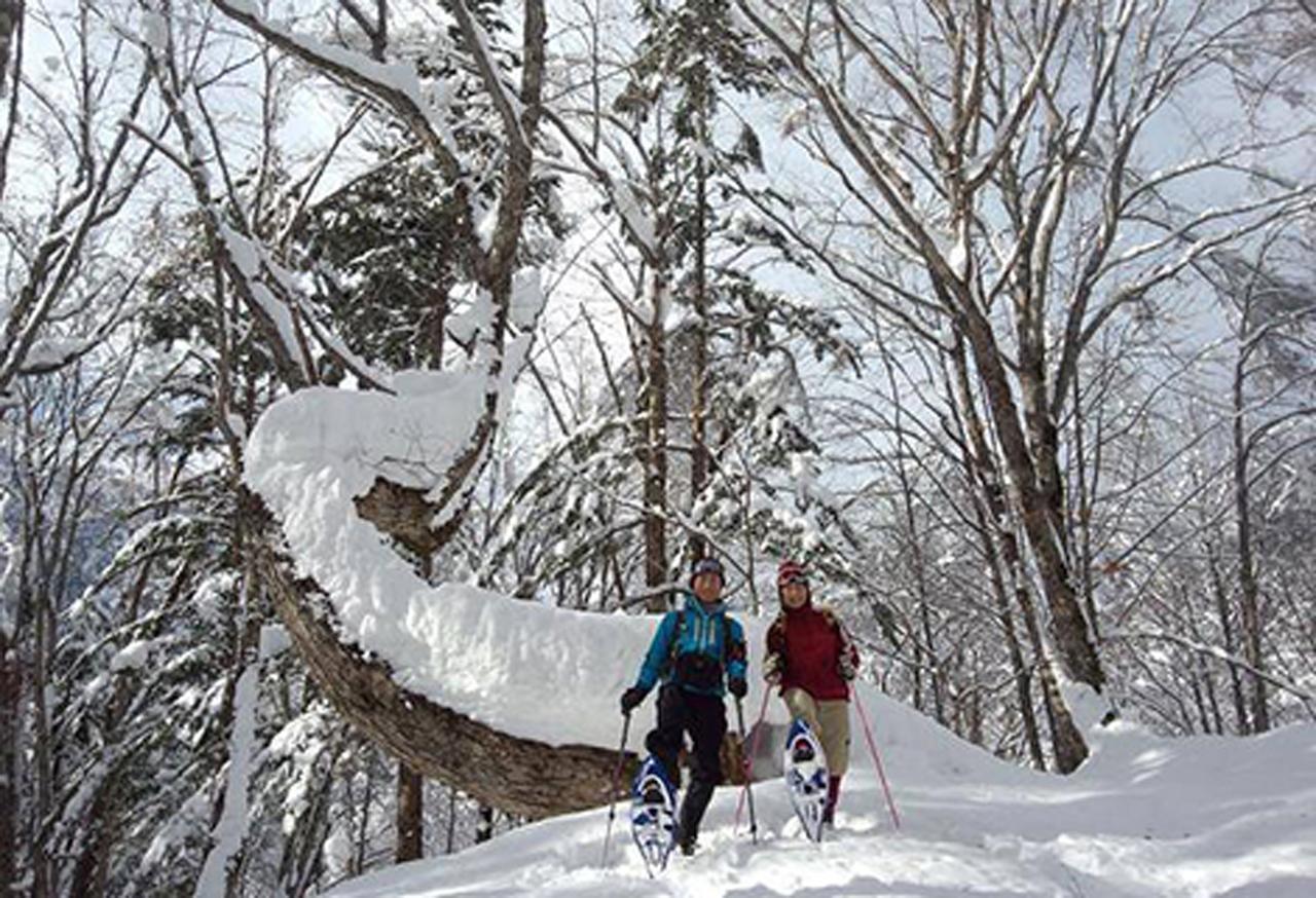 Resort Inn Chirorian 高山市 エクステリア 写真